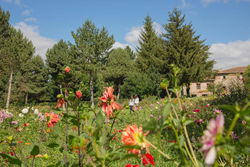 Zahrada ubytování Hotel Boutique El Convento de Mave