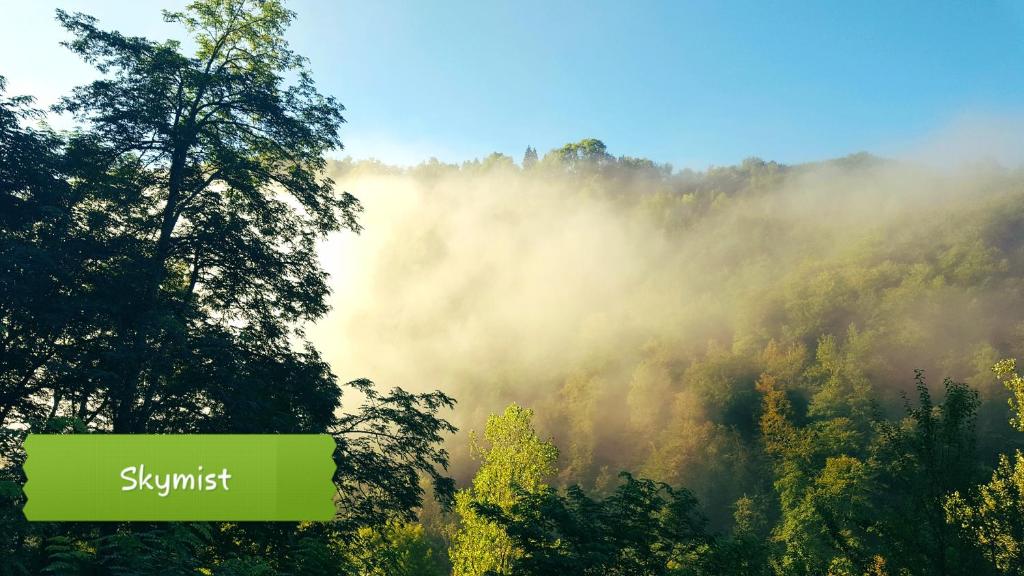 Ein nebliger Wald mit Bäumen und ein Schild, auf dem Sonnenlicht steht in der Unterkunft Skymist Maison d'hôtes in Biert