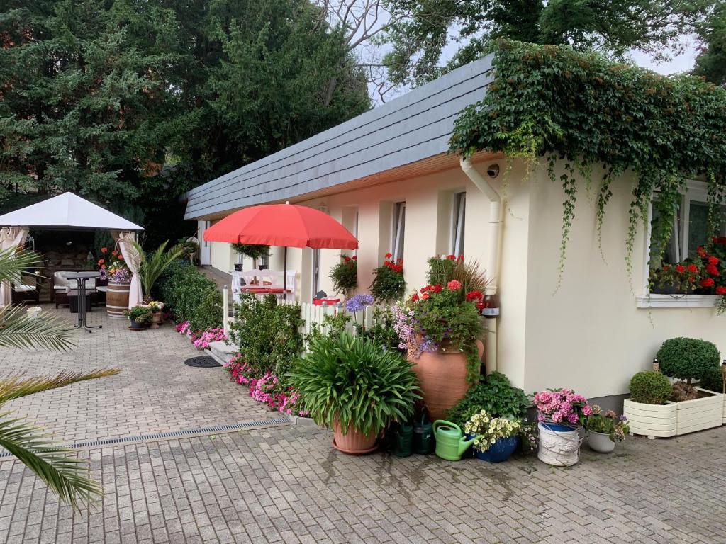 ein Haus mit vielen Blumen und Pflanzen in der Unterkunft Schlossblick in Blankenburg