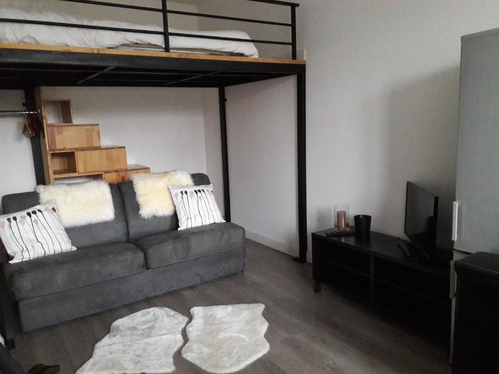 ein Wohnzimmer mit einem Sofa und einem Etagenbett in der Unterkunft Studio Molinel in Lille