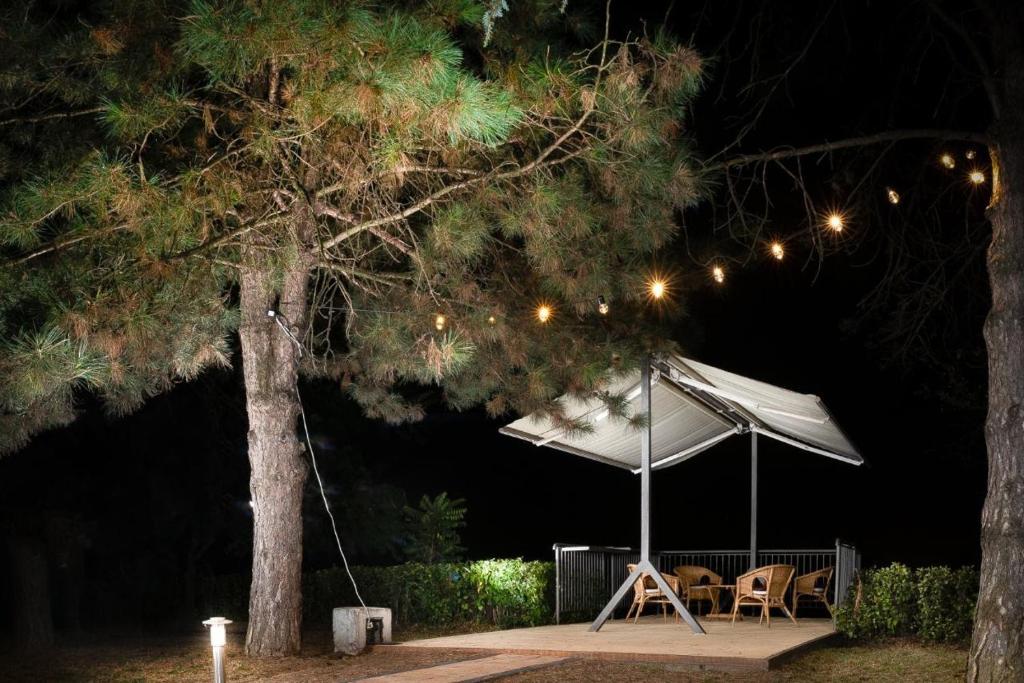 Fotografie z fotogalerie ubytování Belegis Villa v destinaci Stari Banovci