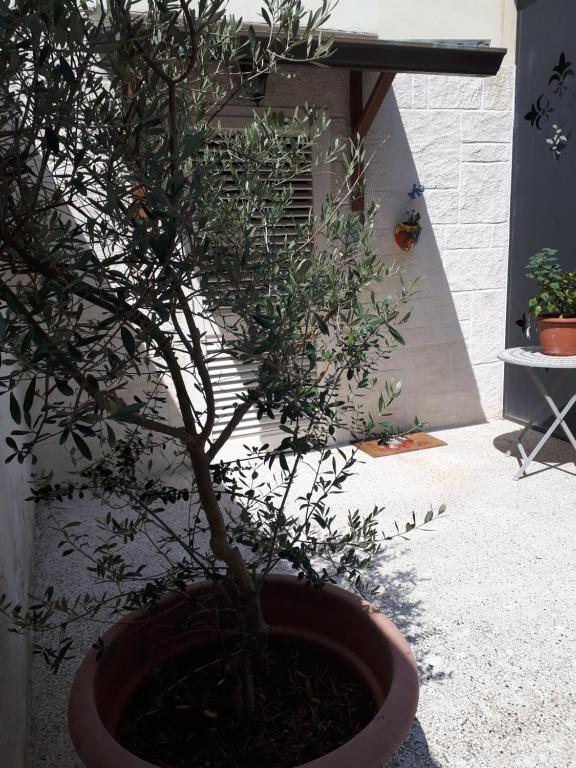 Zahrada ubytování A casa di Rio