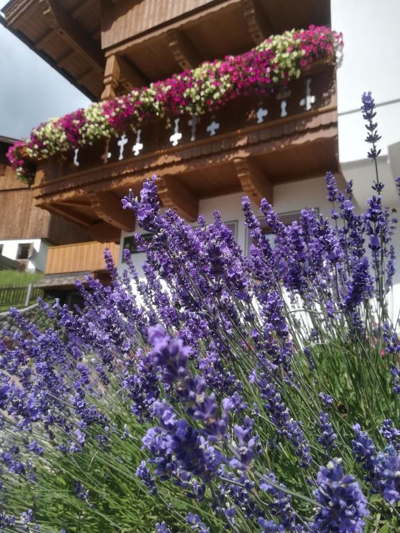 Zahrada ubytování Haus Anna