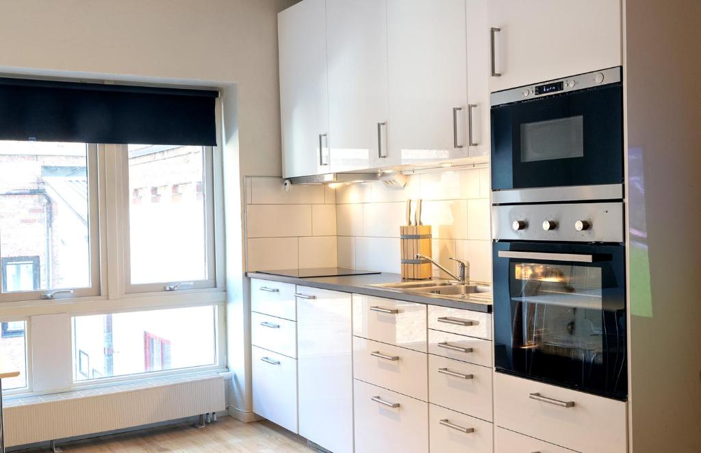 Kuchyň nebo kuchyňský kout v ubytování City HotelApartment