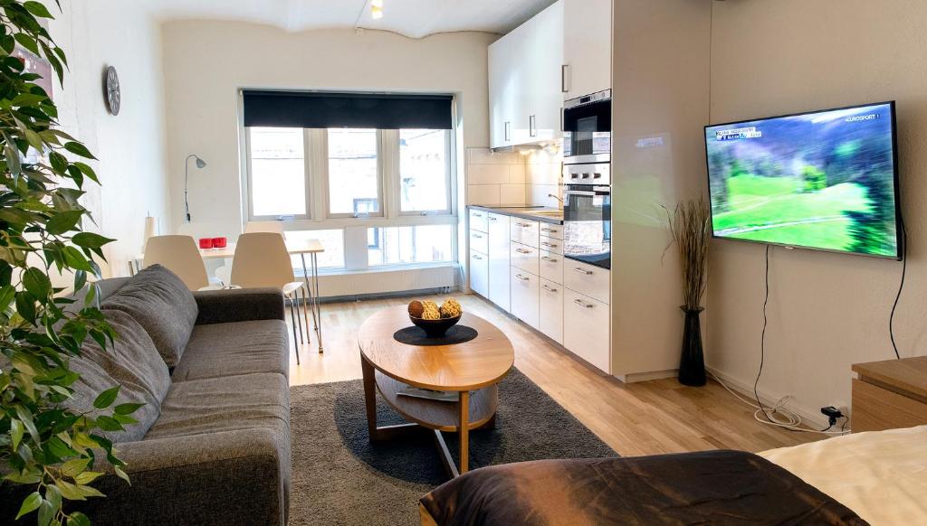 Kuchyň nebo kuchyňský kout v ubytování City HotelApartment