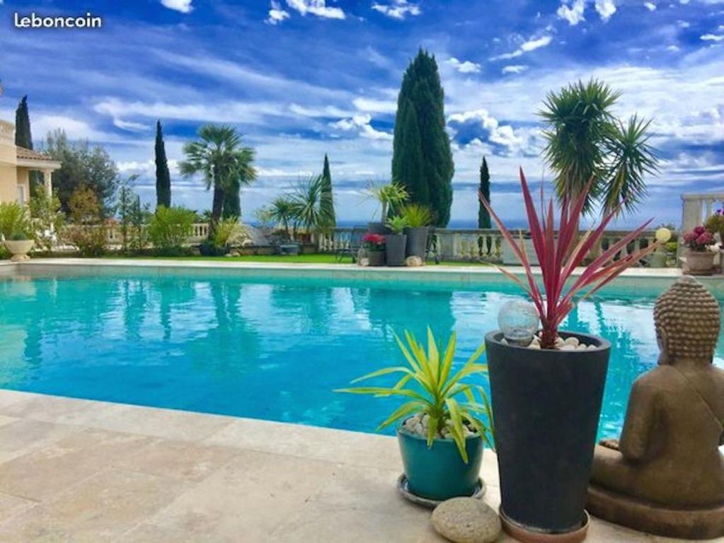 - une piscine bordée d'arbres et de plantes dans l'établissement La Louisiane, à La Ciotat