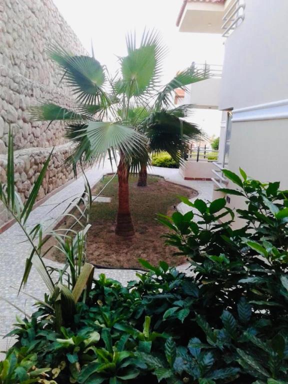 Kép The Mo Place El Montaza szállásáról Sarm es-Sejkben a galériában