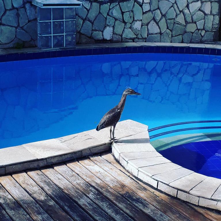  Hostel Recanto Olindense