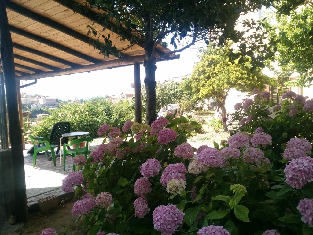 Appartamento Romantico ad Aritzo - Oasi di relax