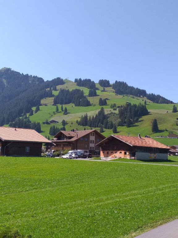 Příroda nedaleko apartmánu