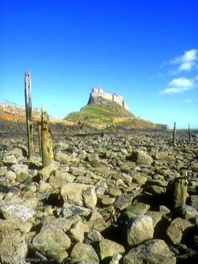 a rocky field with a castle on top of a hill at Pintail Apartment Bamburgh in Bamburgh