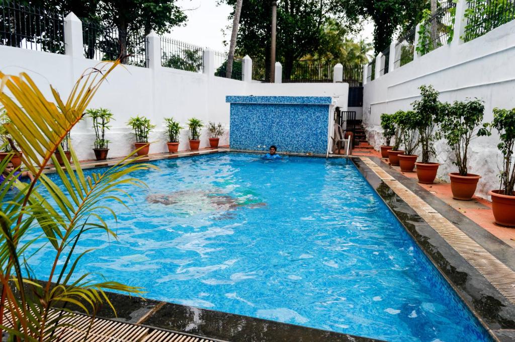 a swimming pool with blue water and plants at OPALO Kailas Kovalam in Kovalam