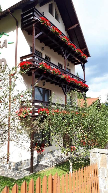 Casa Tad
