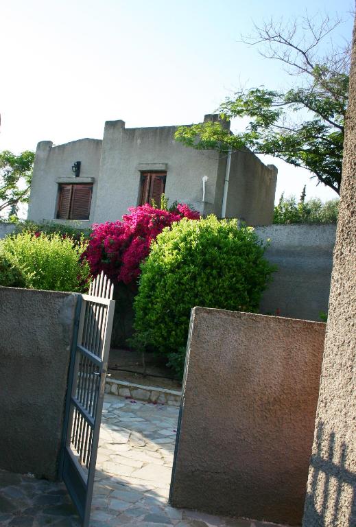 A garden outside Cavo Grosso Bungalows