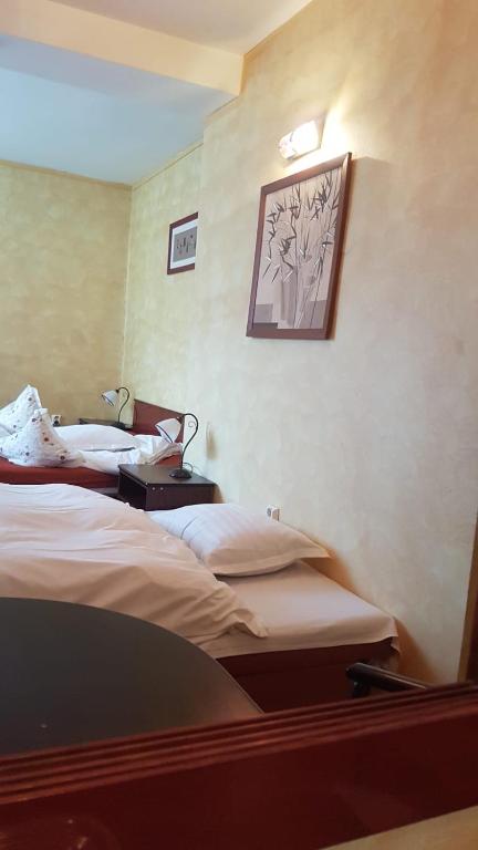 Postel nebo postele na pokoji v ubytování Vila Bratocea