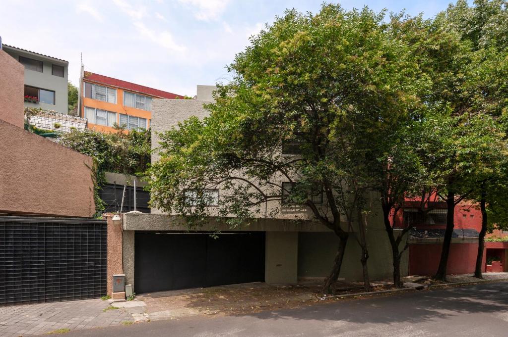 un garaje con un árbol delante de un edificio en Cuarto privado las lomas en Ciudad de México