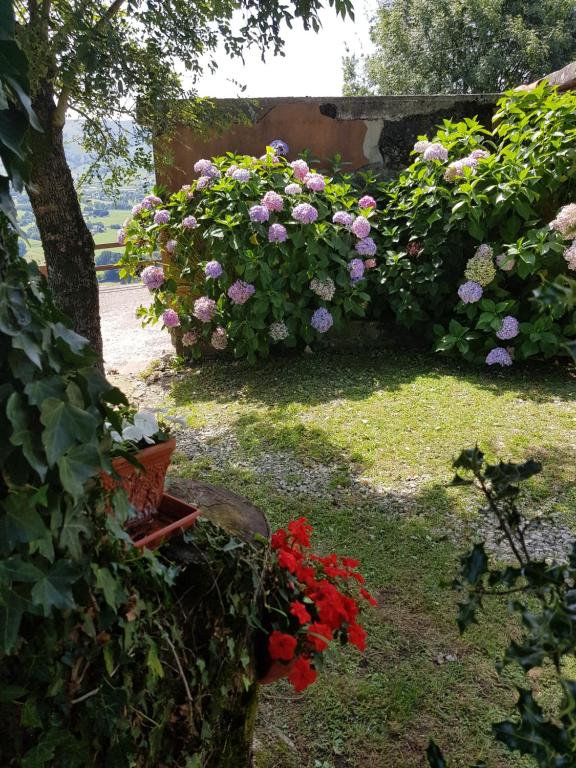 A garden outside Casa Rural Juntana