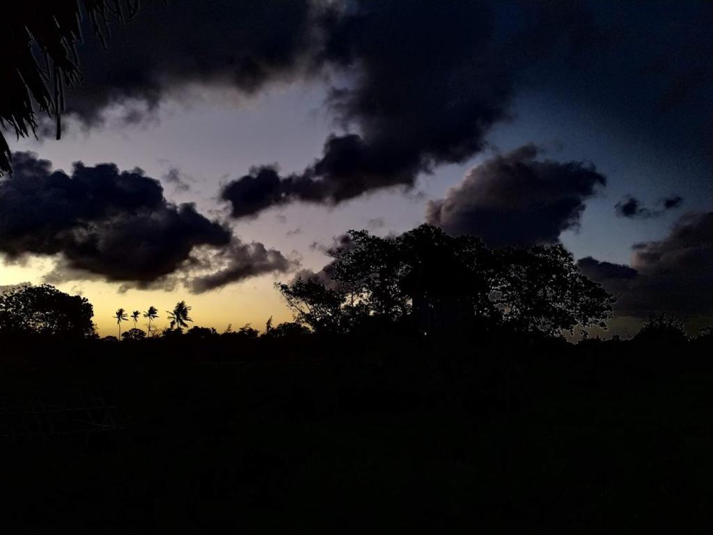 Fotografie z fotogalerie ubytování Mida Creek Nature Camp v destinaci Watamu