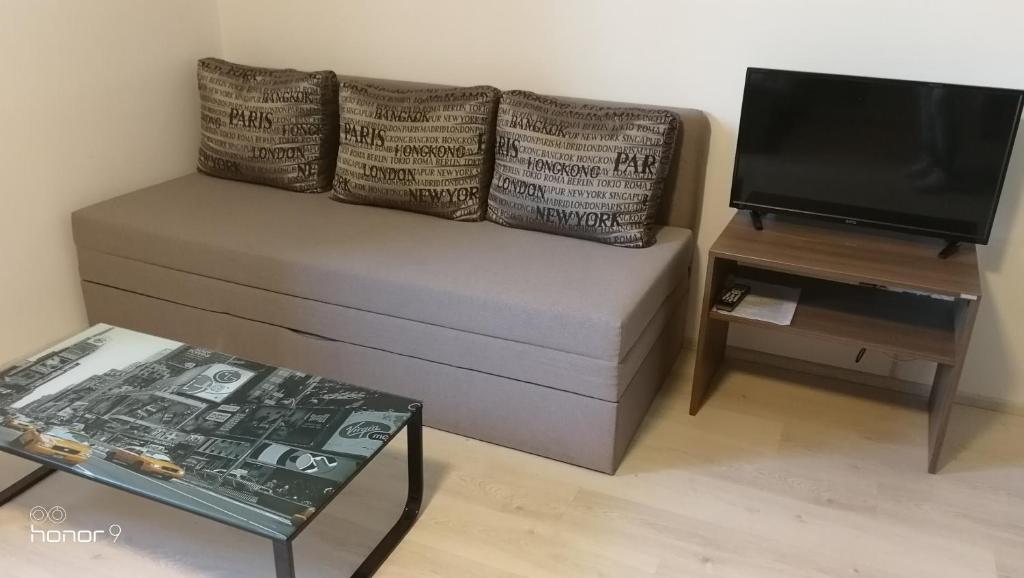 TV a/nebo společenská místnost v ubytování PENZION U BRÁZDŮ