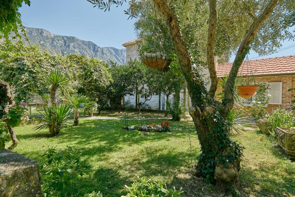 Zahrada ubytování Mediterranean Holiday House & Apartments