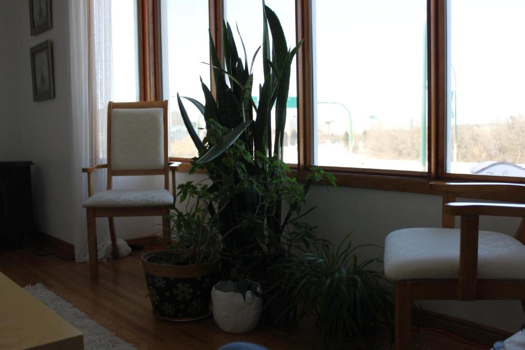 Un lugar para sentarse en The Inn on College