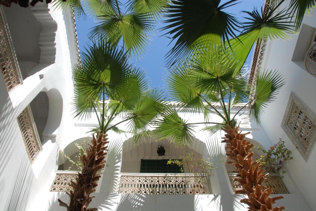 vista dal soffitto di un edificio con palme di Riad Vert a Marrakech