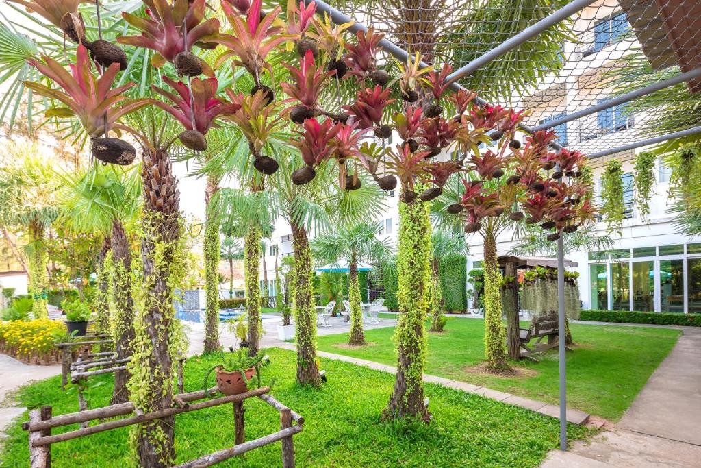 a group of palm trees in a courtyard at Sungthong Kamala Beach Resort in Kamala Beach