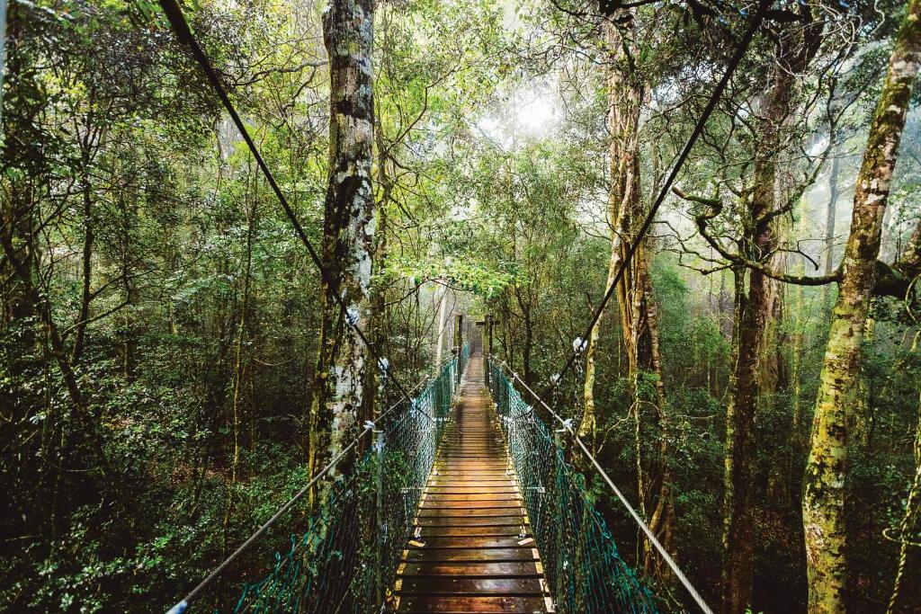 O Reilly S Rainforest Retreat Canungra Aktualisierte Preise Fur 21 O Reilly S Rainforest Retreat Canungra Aktualisierte Preise Fur 21