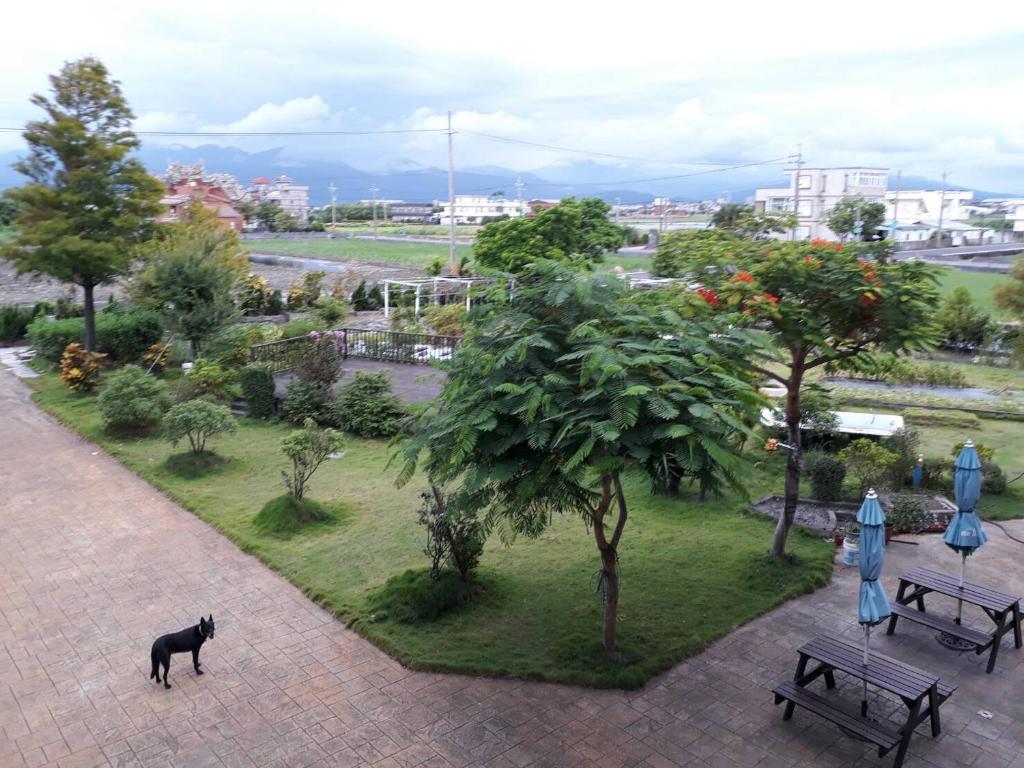 un cane che cammina in un parco con panchine e alberi di Vanilla Twilight a Wujie