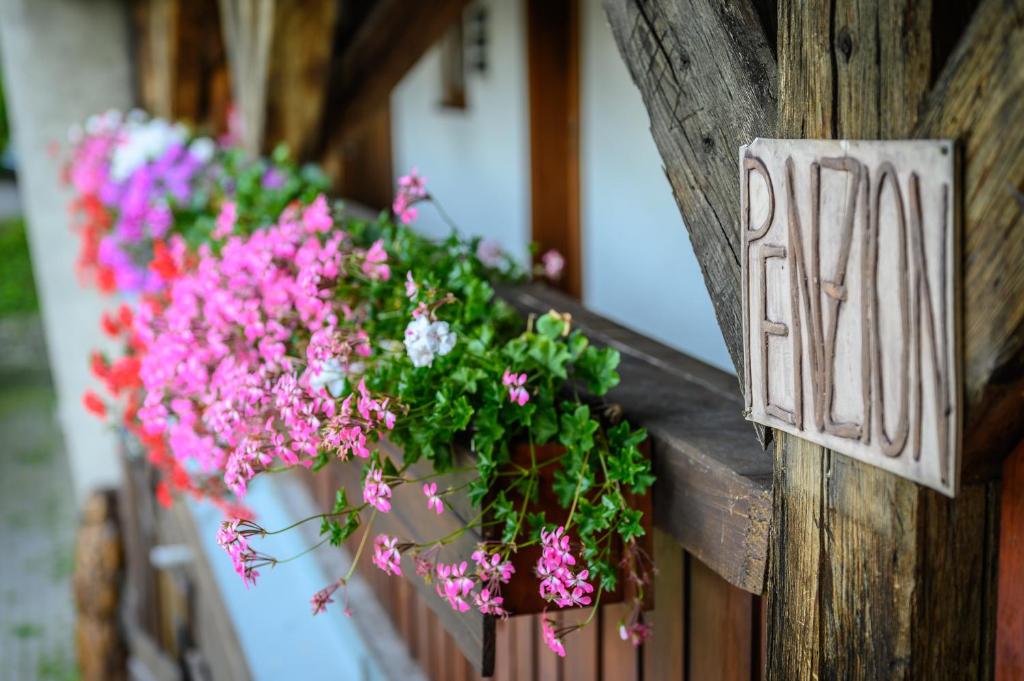 Fotografie z fotogalerie ubytování Penzion Tyra v destinaci Třinec