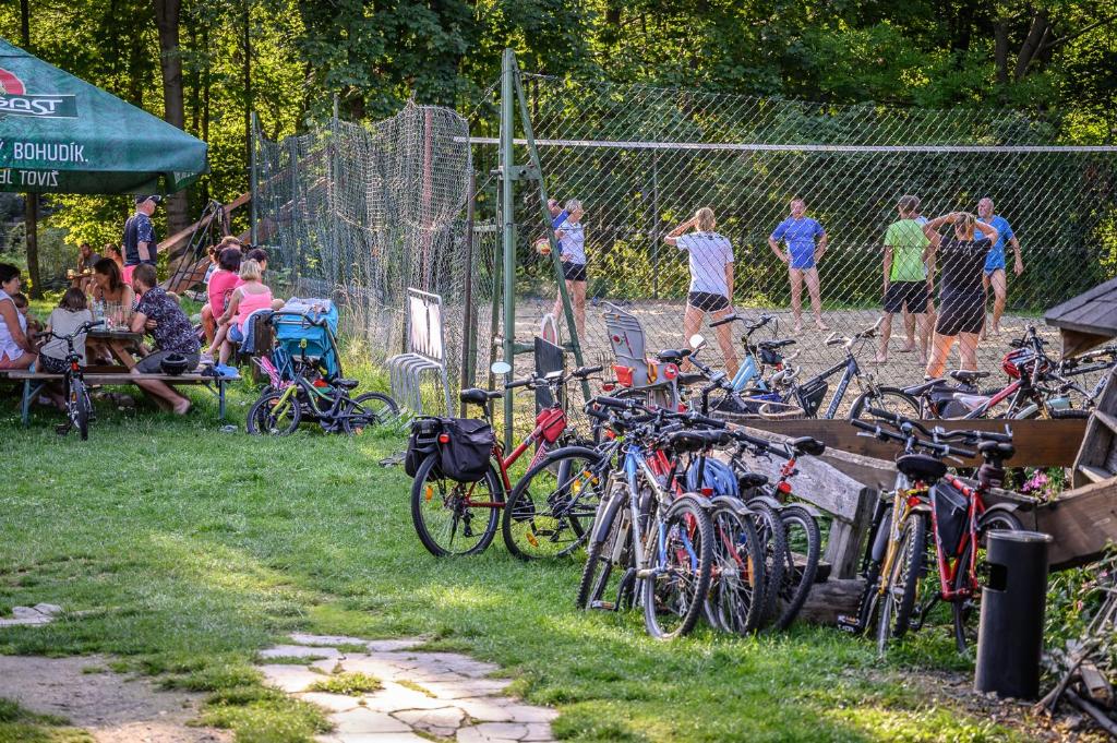 Fotografie z fotogalerie ubytování Penzion Tyra v destinaci Třinec