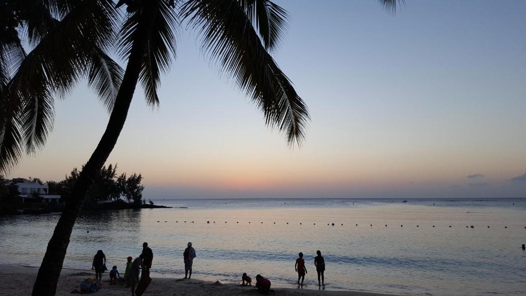 um grupo de pessoas de pé na praia ao pôr do sol em Appartement & Studio Lolla em Pereybere