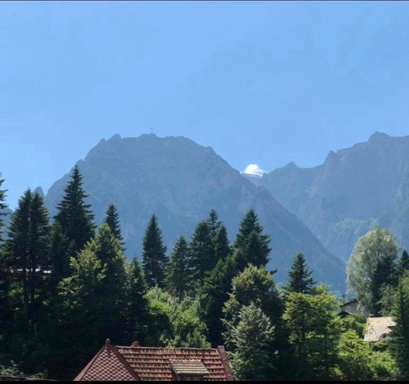 vistas a una cordillera con árboles y casas en Pensiunea Sport, en Buşteni