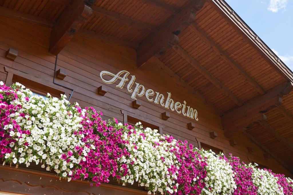 Fotografie z fotogalerie ubytování Haus Alpenheim ve Flachau