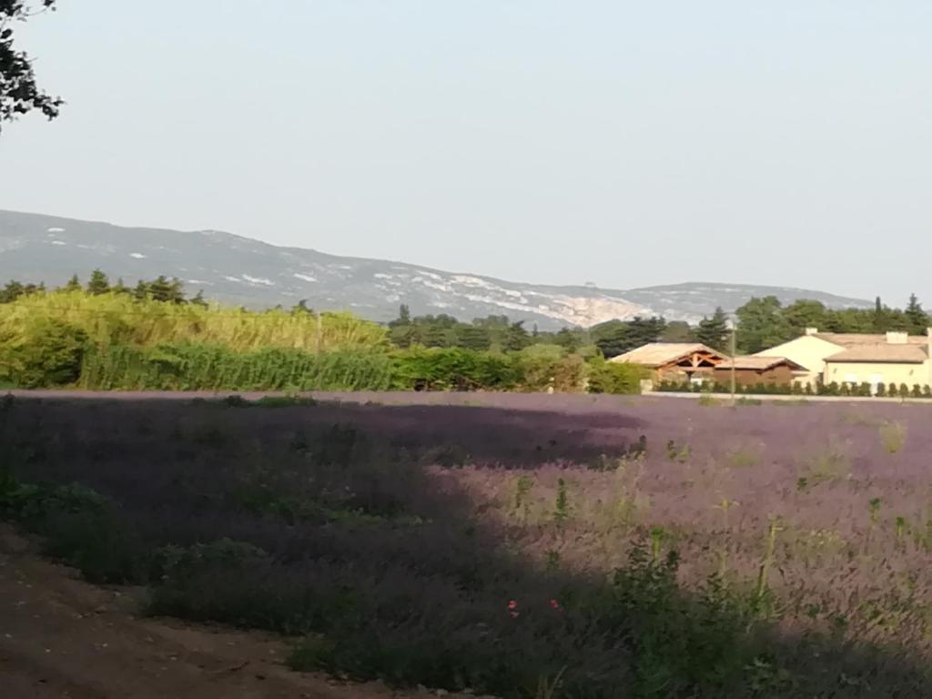 Au pays du Ventoux - 带花园的套房