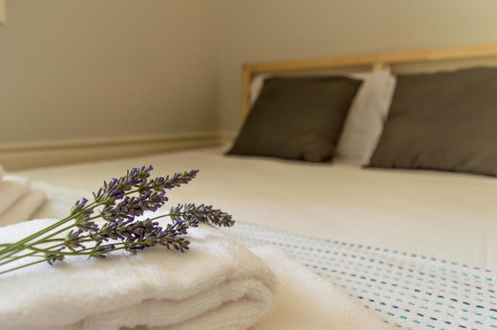 Queen's Garden Hostel - 17