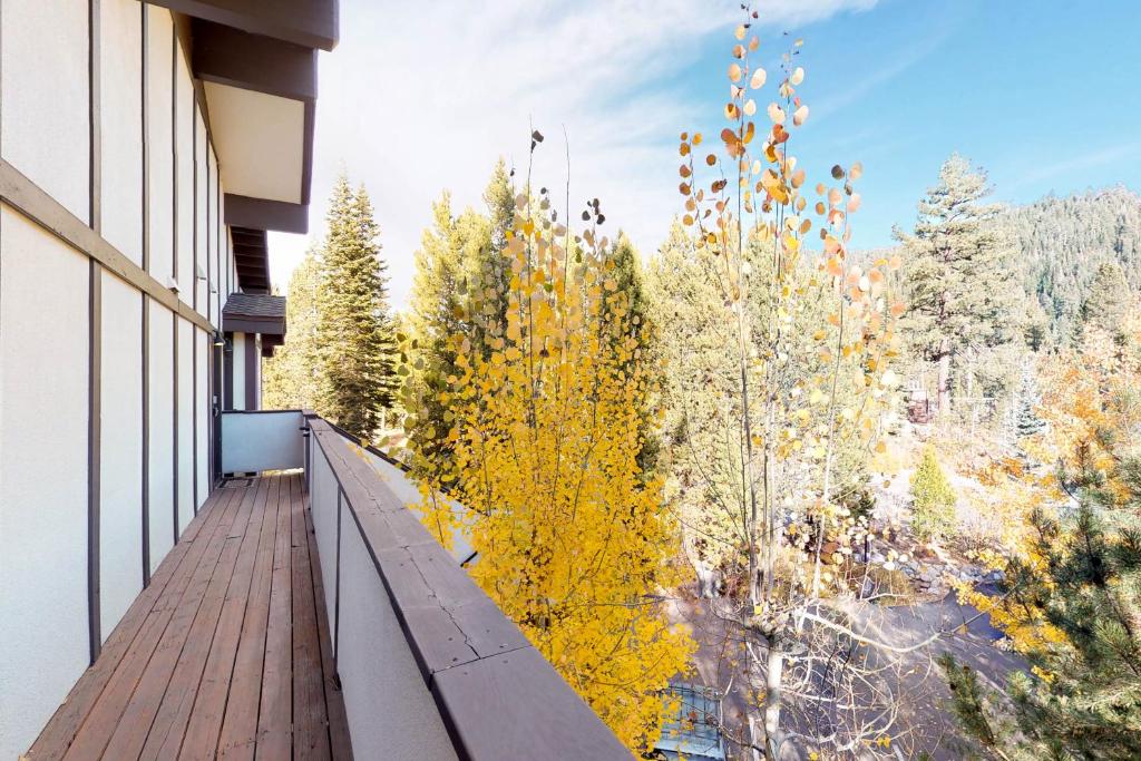 balcone di un edificio con vista sugli alberi di Squaw Valley Ski Flat a Olympic Valley