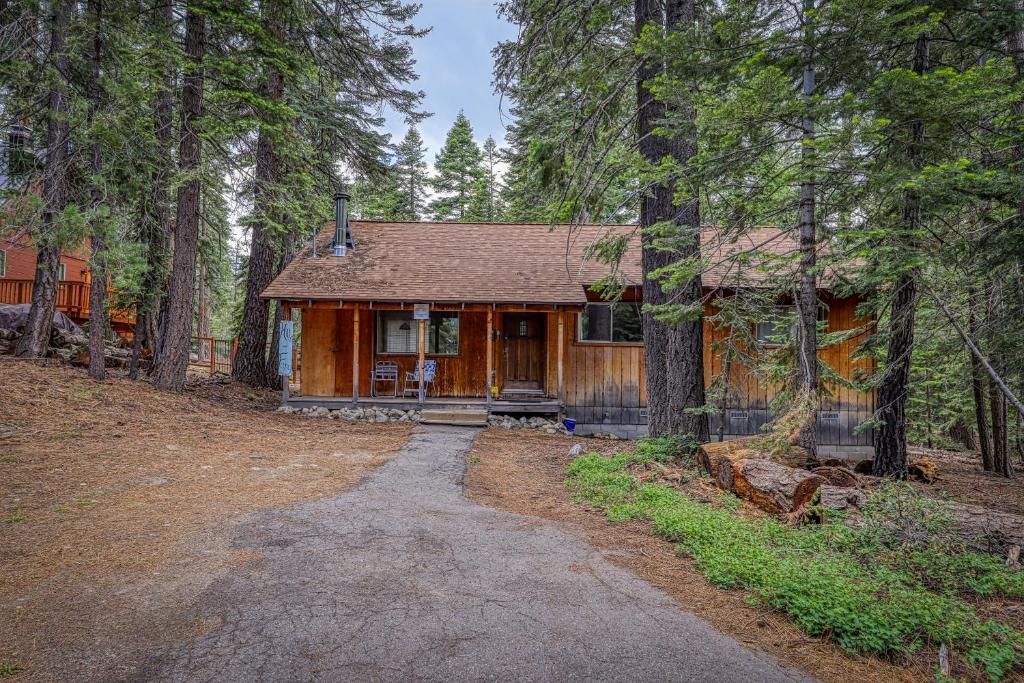 a house in the middle of a forest at Tahoma Getaway in Tahoma