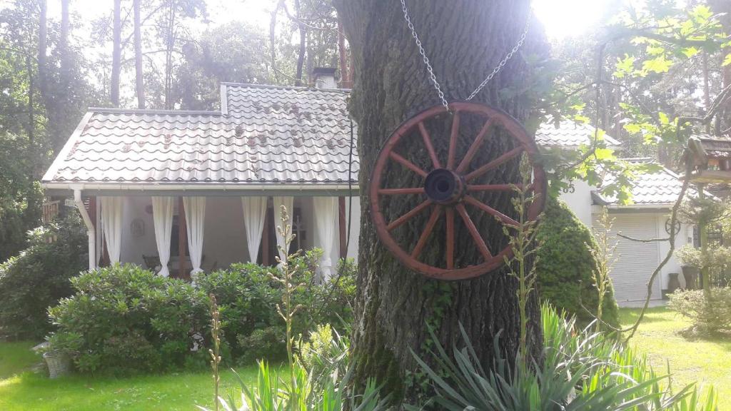 Ogród w obiekcie Fort Janowek