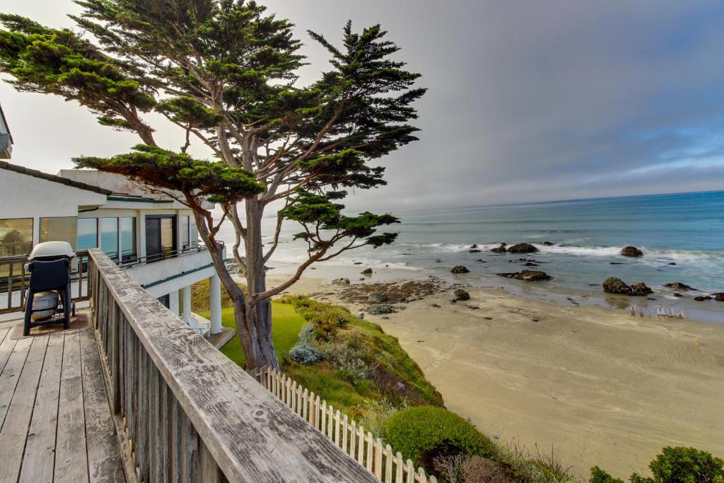 a house with a tree on the beach at Oceanfront Dream in Cayucos