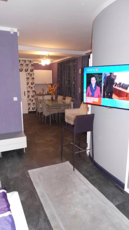 TV a/nebo společenská místnost v ubytování Apartment Sejko