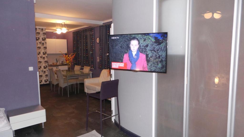 TV a/nebo společenská místnost v ubytování Apartment Sejko