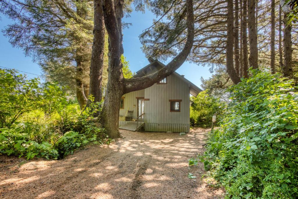 uma casa na floresta com uma árvore em Rocks Cabin em Copalis Beach