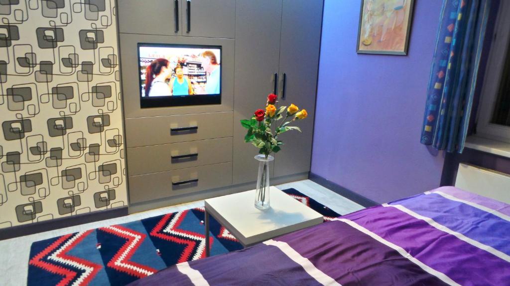 TV a/nebo společenská místnost v ubytování Apartment Sejko
