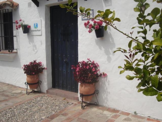 two potted plants on the side of a building with a door at El Peñón in Zahara de la Sierra