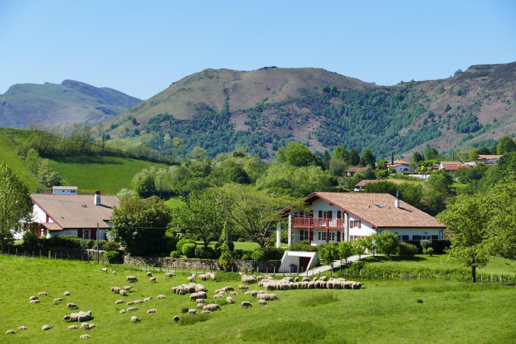 a herd of sheep grazing in a field in front of houses at BaskoParadis I Eco-Gites I Calme I Vue I Ânes I Jardin I Montagne I Nature in Louhossoa