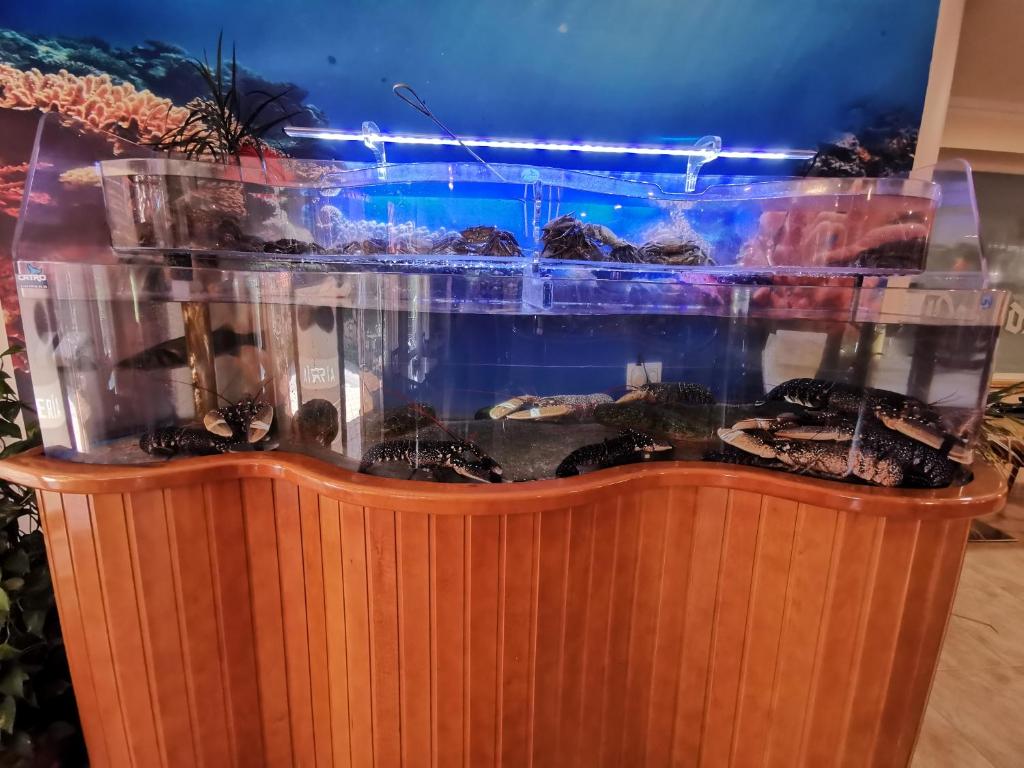 a fish tank with many different types of fish in it at Doade in Hio