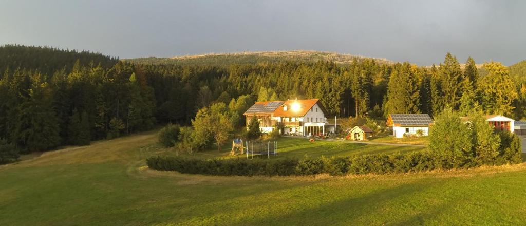 een luchtzicht op een huis op een groen veld bij Ferienwohnung Lackenhäuser in Neureichenau