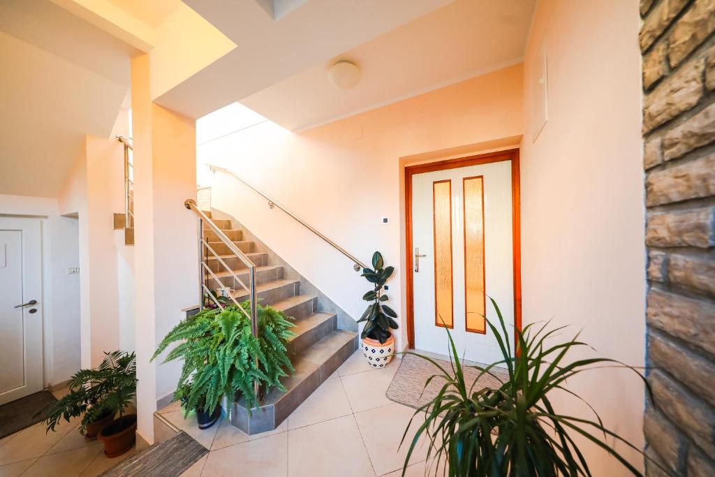 Fotografia z galérie ubytovania Apartman Antisin v destinácii Zadar