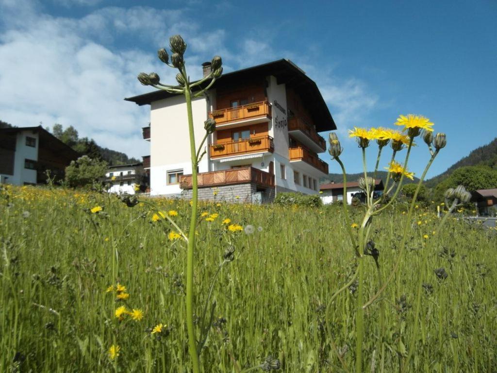 a building in the middle of a field of flowers at Gästehaus Sonja in Niederau